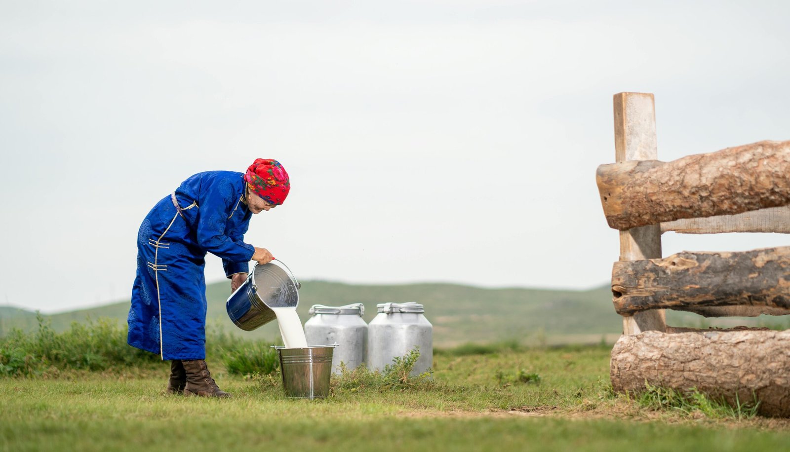 Creating an Engaging Website for Your Organic Dairy Farm